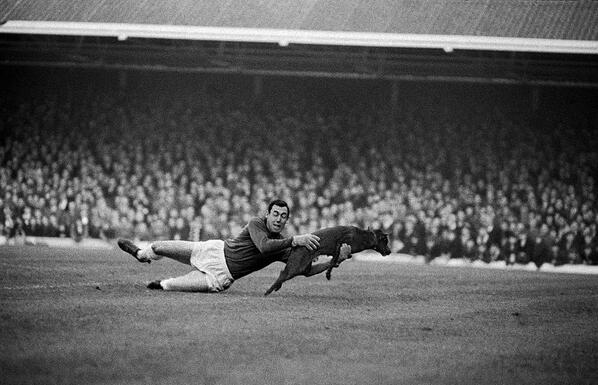Gordon Banks stopped everything, even what were not balls.