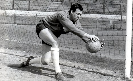 Banks was one of the best goalkeepers of the 20th century.