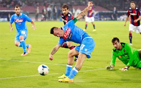 Hamsik 2013