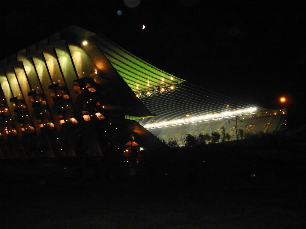  Municipal stadium of Braga